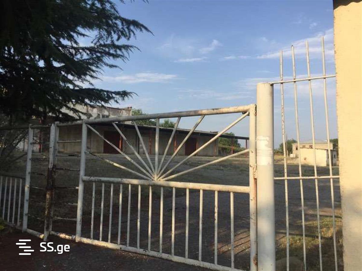 Store/Industrial Property For Sale. Sagarejo view 11