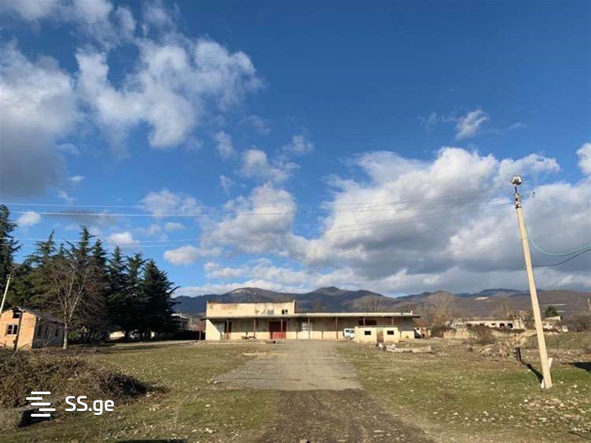Store/Industrial Property For Sale. Sagarejo view 2