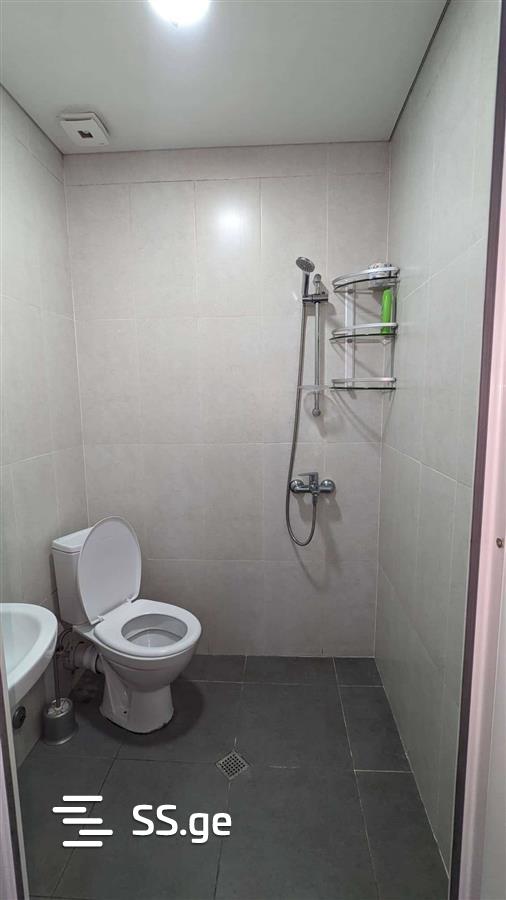 2 Room Flat Daily Rent. Batumi view 6
