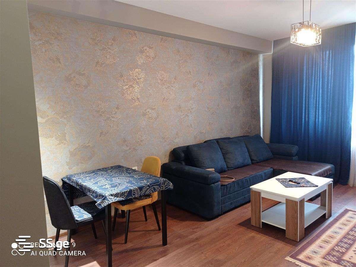 2 Room Flat Daily Rent. Varketili view 10