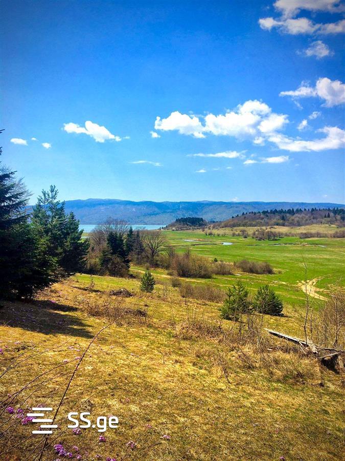 Agricultural Plot For Sale In Ambrolauri view 14