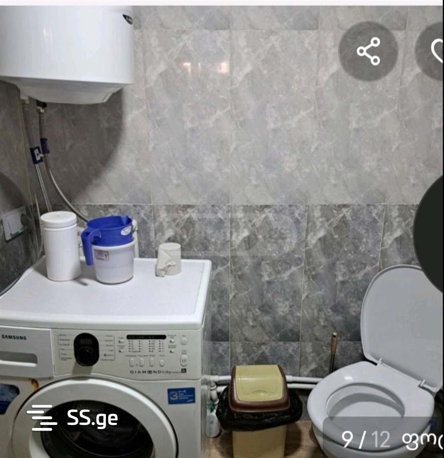 5 Room Private House Daily Rent. Tianeti view 5
