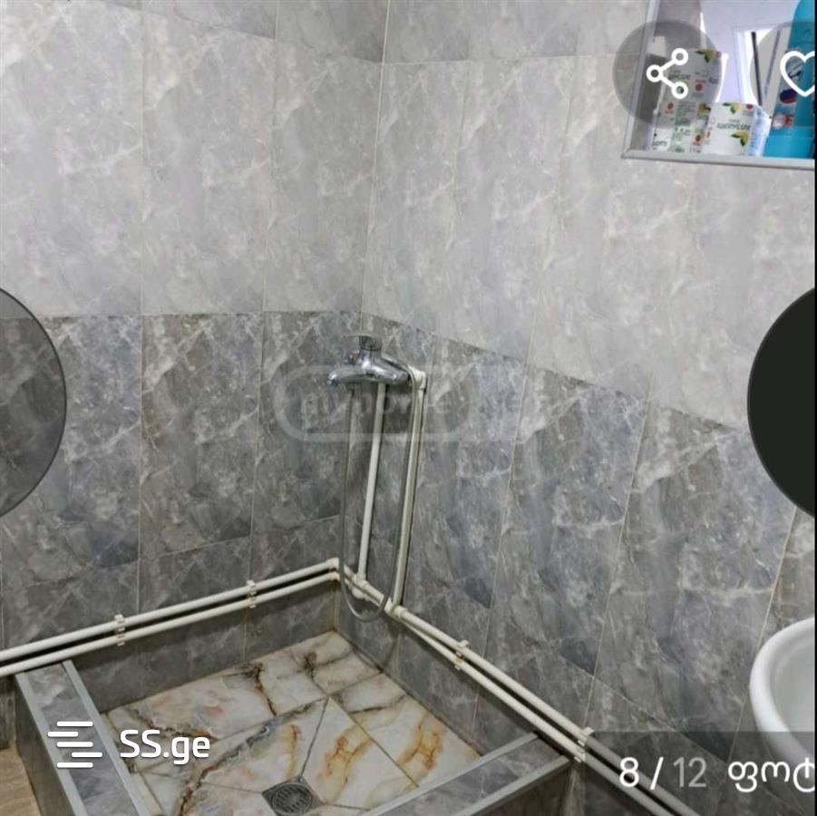 5 Room Private House Daily Rent. Tianeti view 6