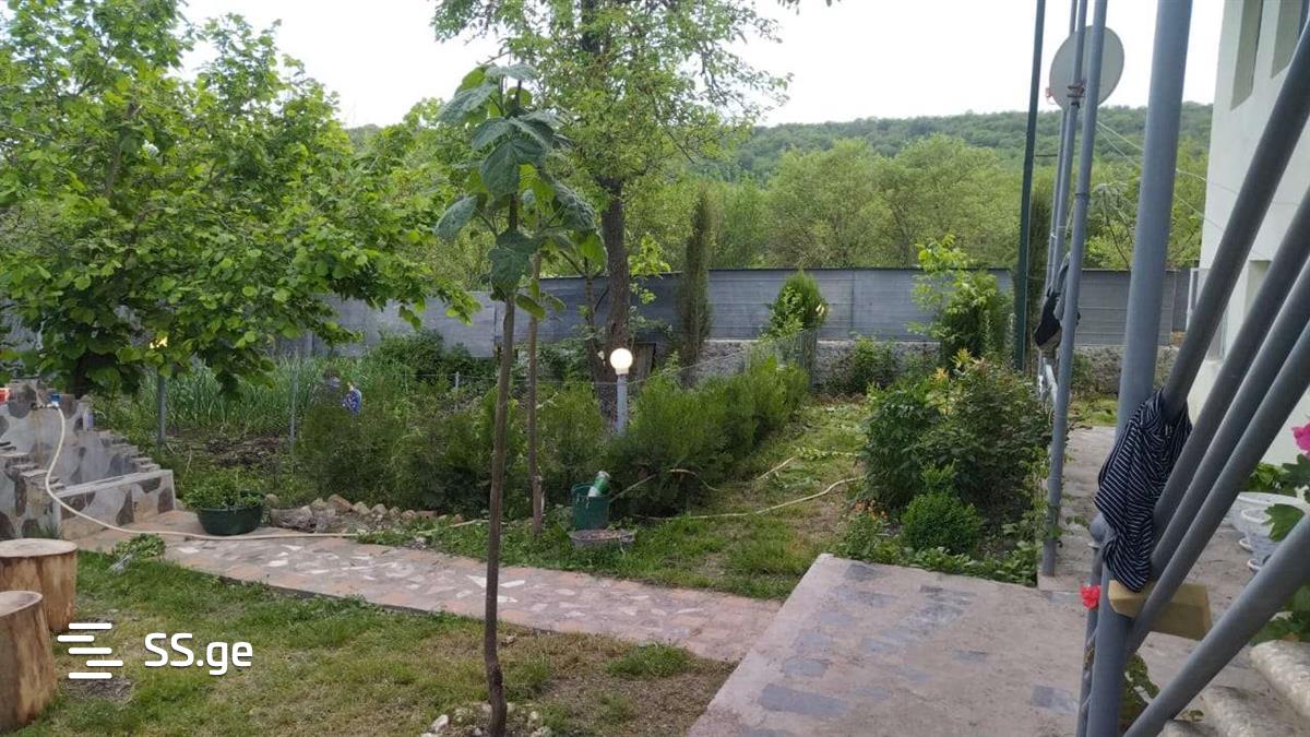 5 Room Private House Daily Rent. Tianeti view 2