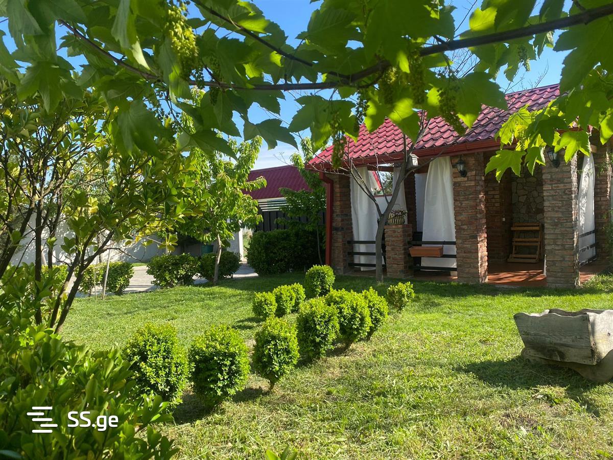 4 Room Private House Daily Rent. Bazaleti view 8
