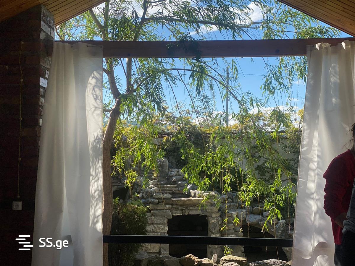4 Room Private House Daily Rent. Bazaleti view 7