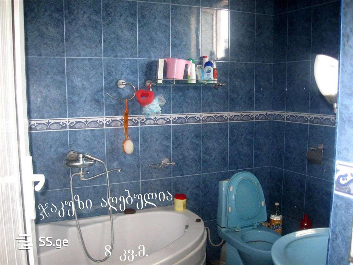 2 Room Private House For Rent. Nadzaladevi view 5
