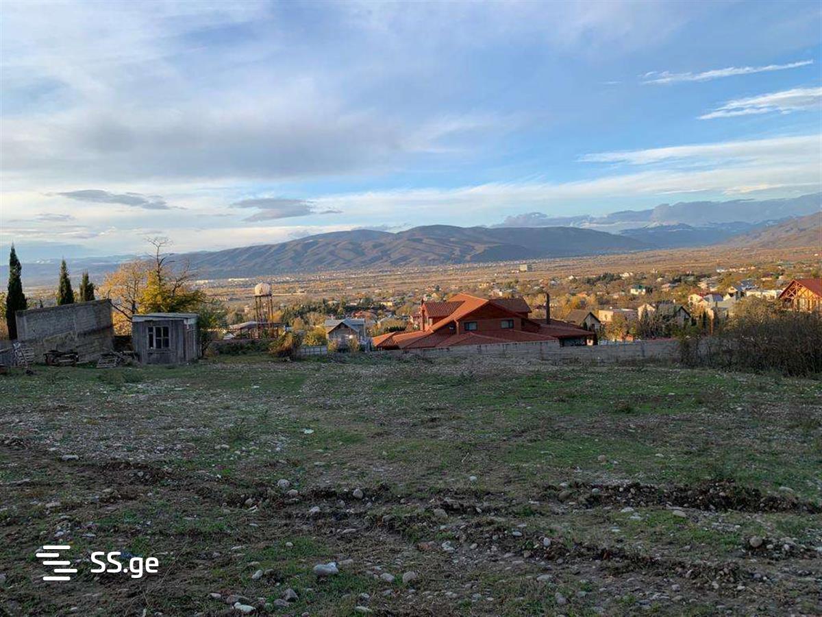იყიდება მიწა საგურამოში view 6