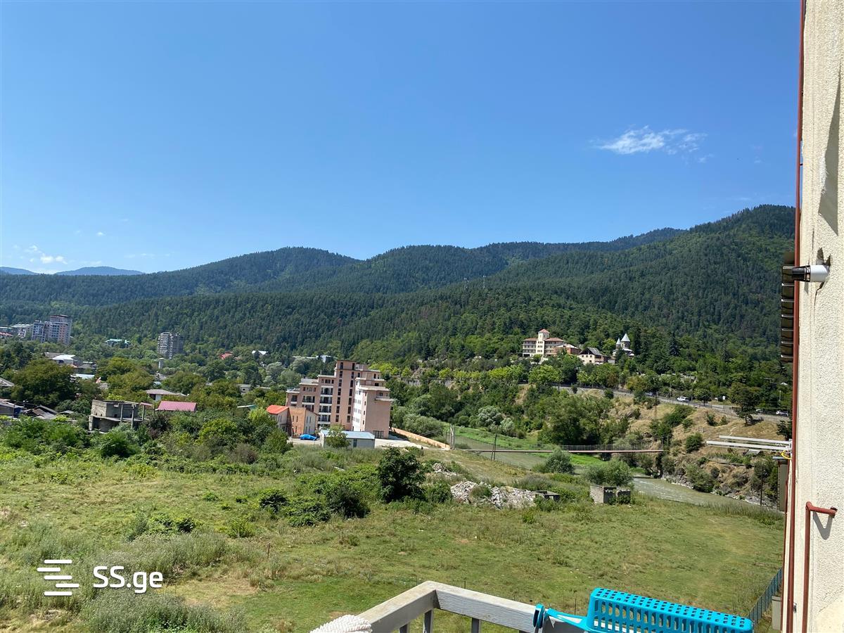 2 Room Flat Daily Rent. Borjomi view 9