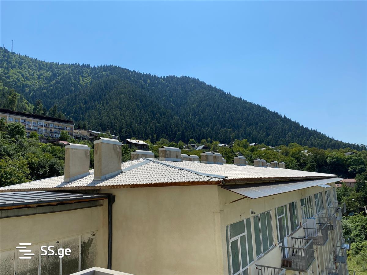 2 Room Flat Daily Rent. Borjomi view 8