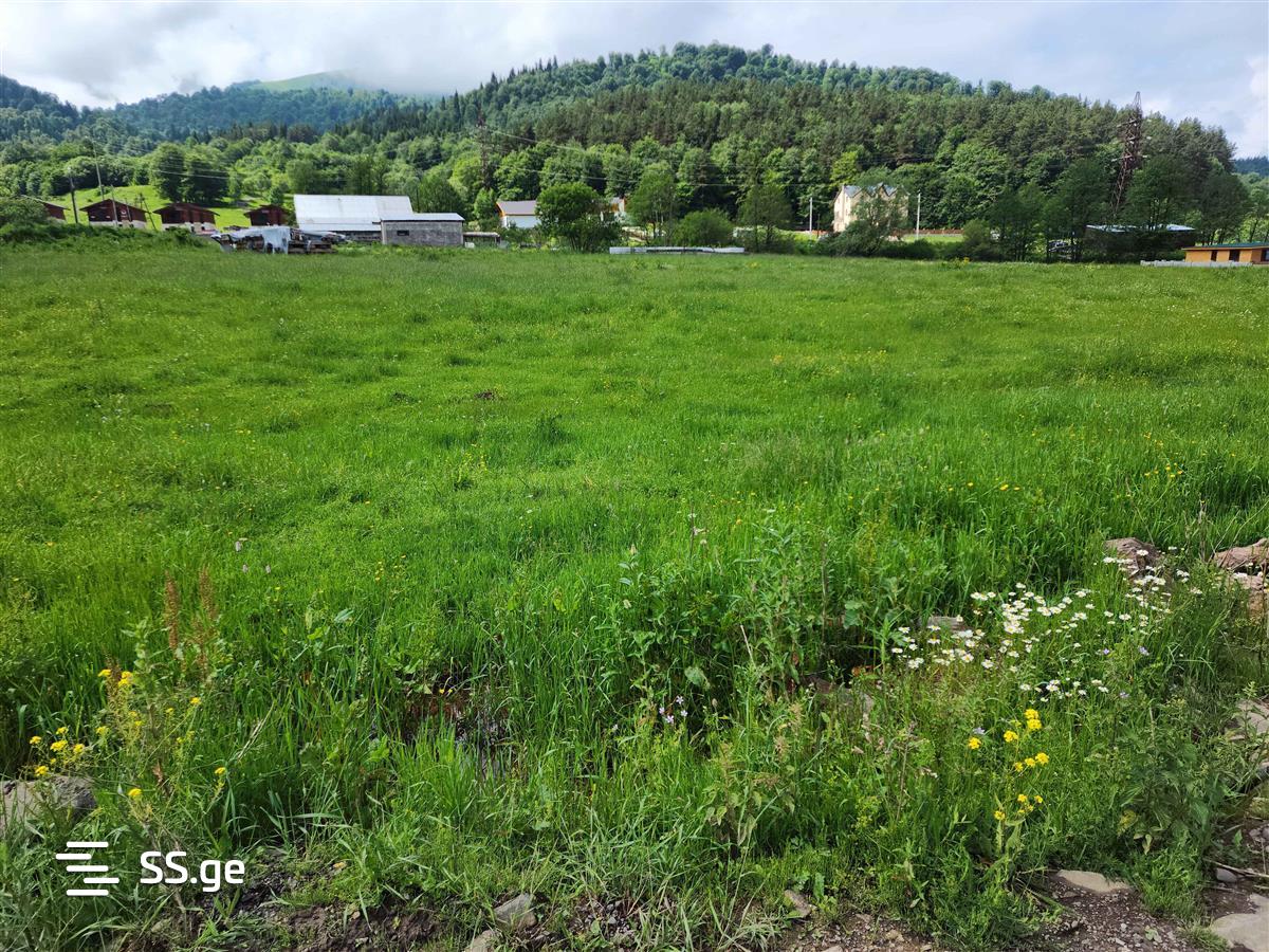 Land For Sale. Bakuriani, 4 of 4