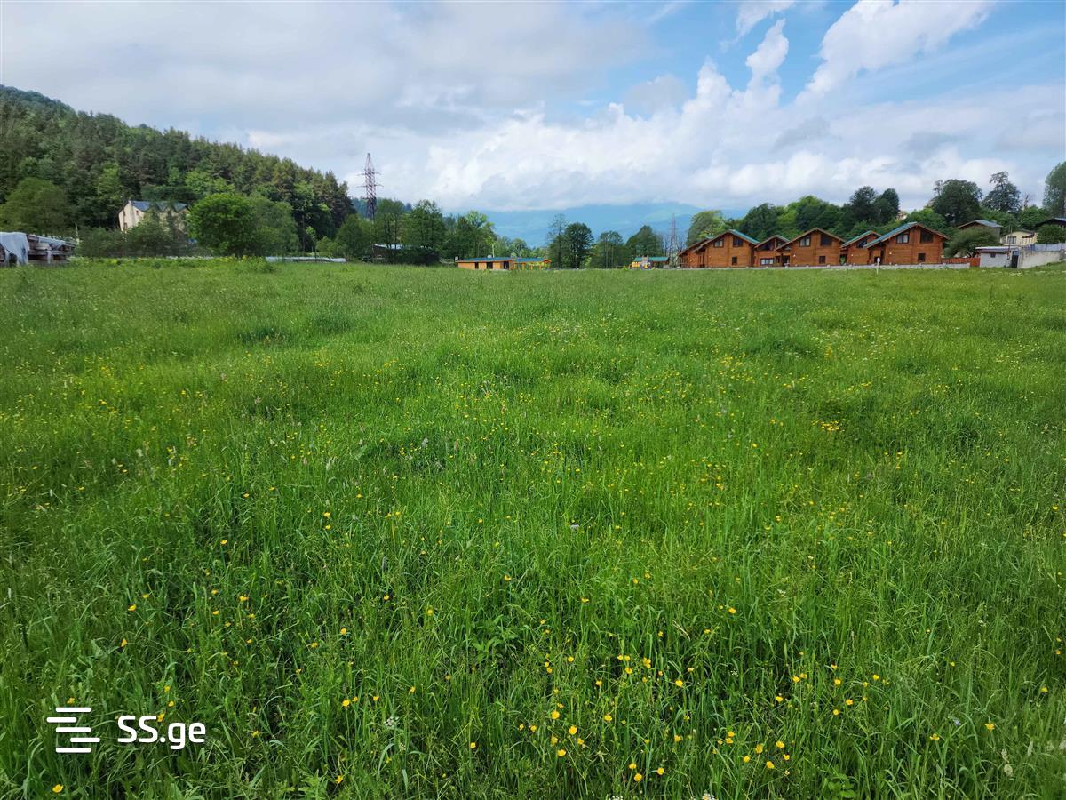 Land For Sale. Bakuriani, 3 of 4