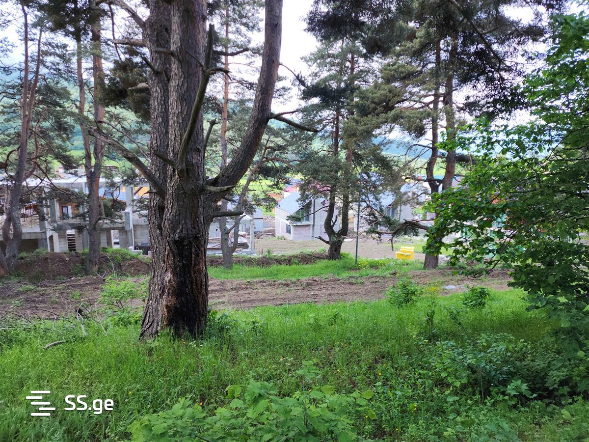 Land For Sale. Bakuriani, 2 of 4