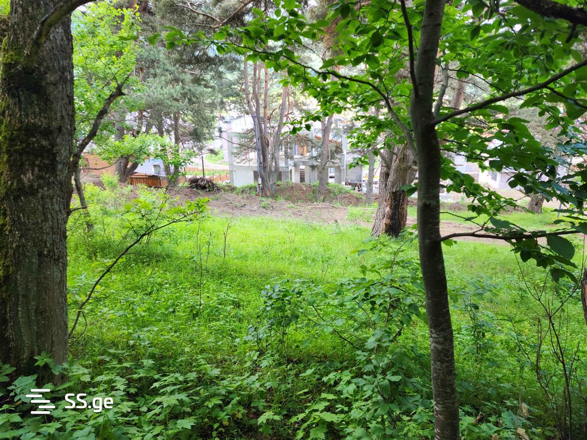 Land For Sale. Bakuriani, 3 of 4
