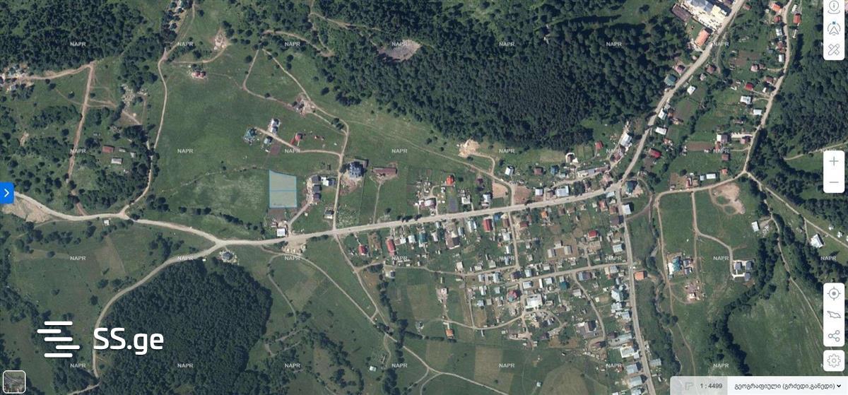 Land For Sale. Bakuriani, 1 of 4