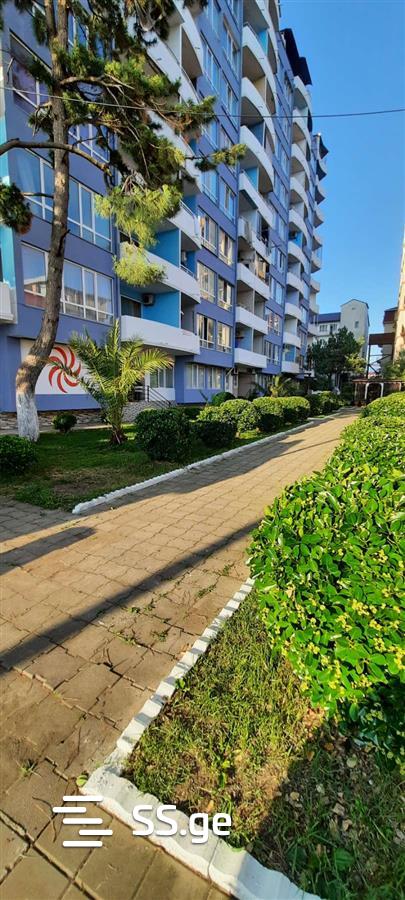 1 Room Flat Daily Rent. Kobuleti view 3