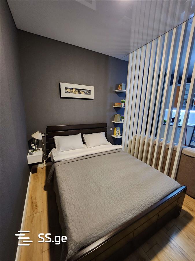 1 room Flat Daily rent. Districts of Vazha-Pshavela - Widok 6