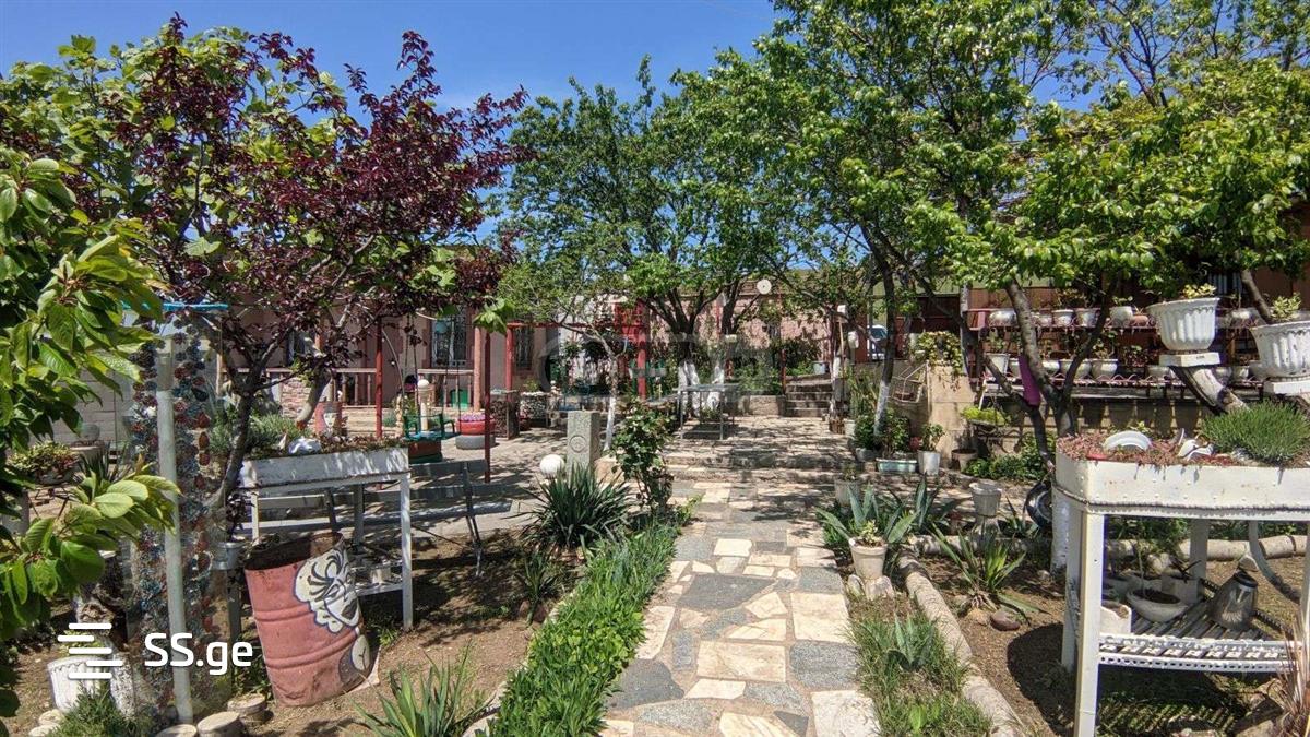 2 Room Summer Cottage Daily Rent. Varketili view 8