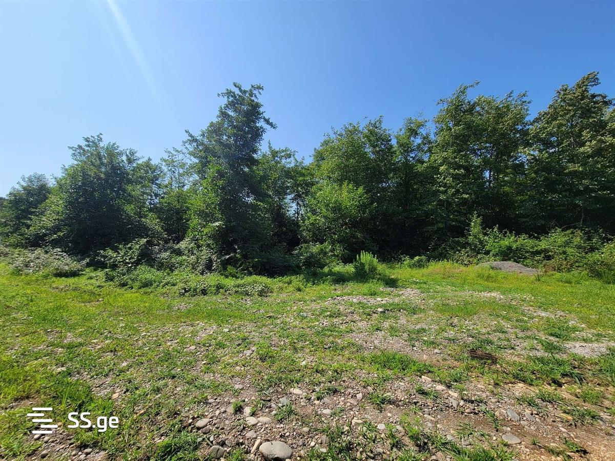 Продажа Земля / участок в Ozurgetshi view 8