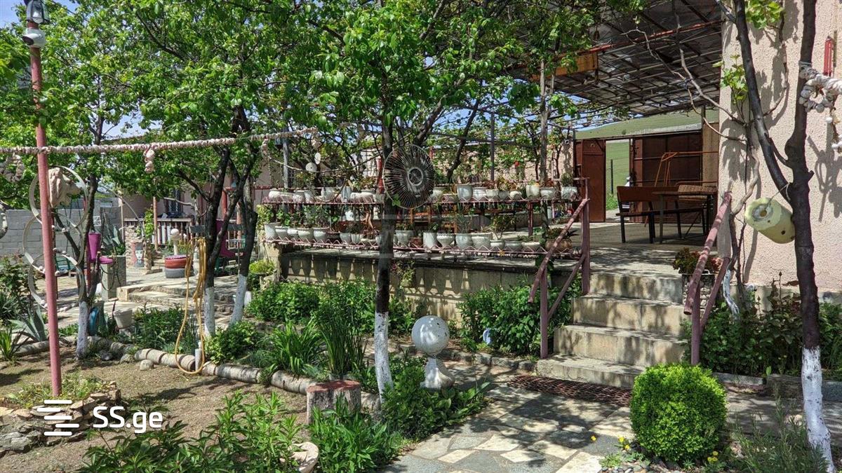 2 Room Summer Cottage Daily Rent. Varketili view 12