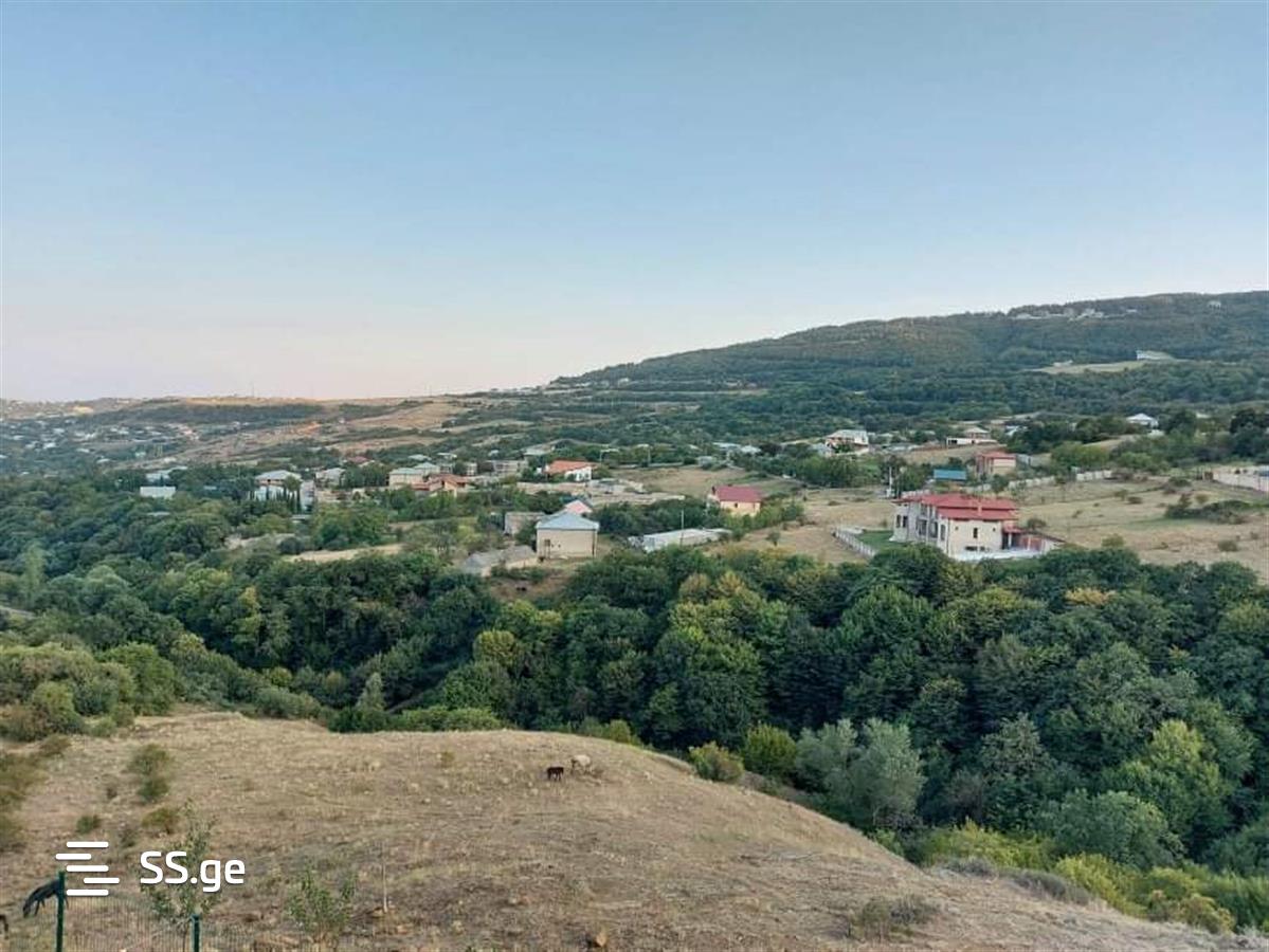 7 Room Private House For Sale view 8