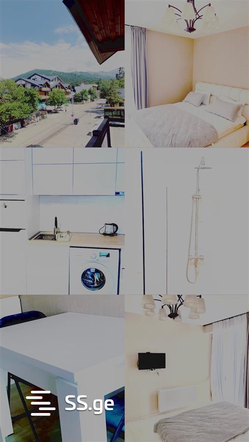 1 Room Flat For Rent. Bakuriani view 6