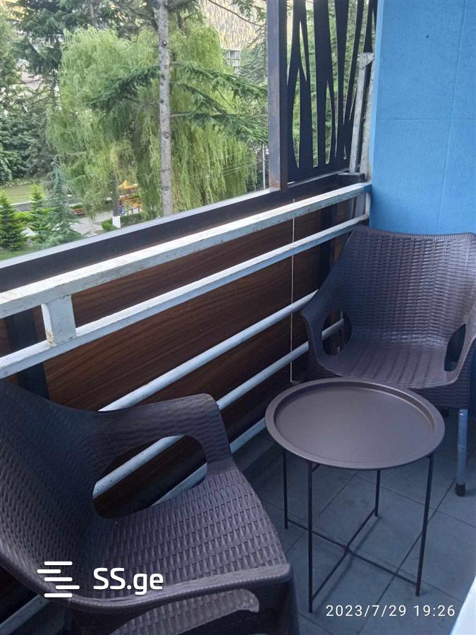2 Room Flat Daily Rent. Borjomi view 7