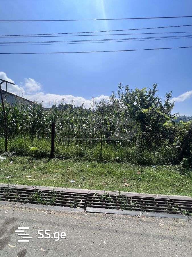 იყიდება მიწა ხელვაჩაურიში view 1