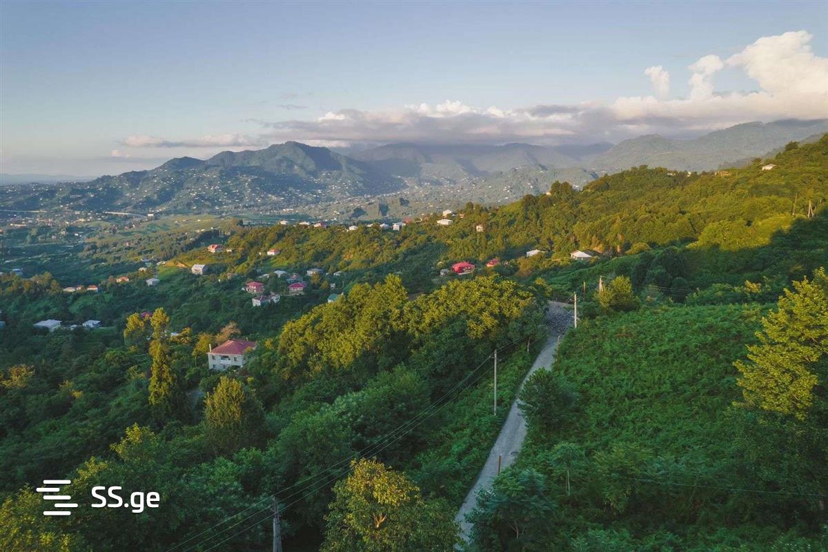 იყიდება 3-ოთახი Summer Cottage view 1