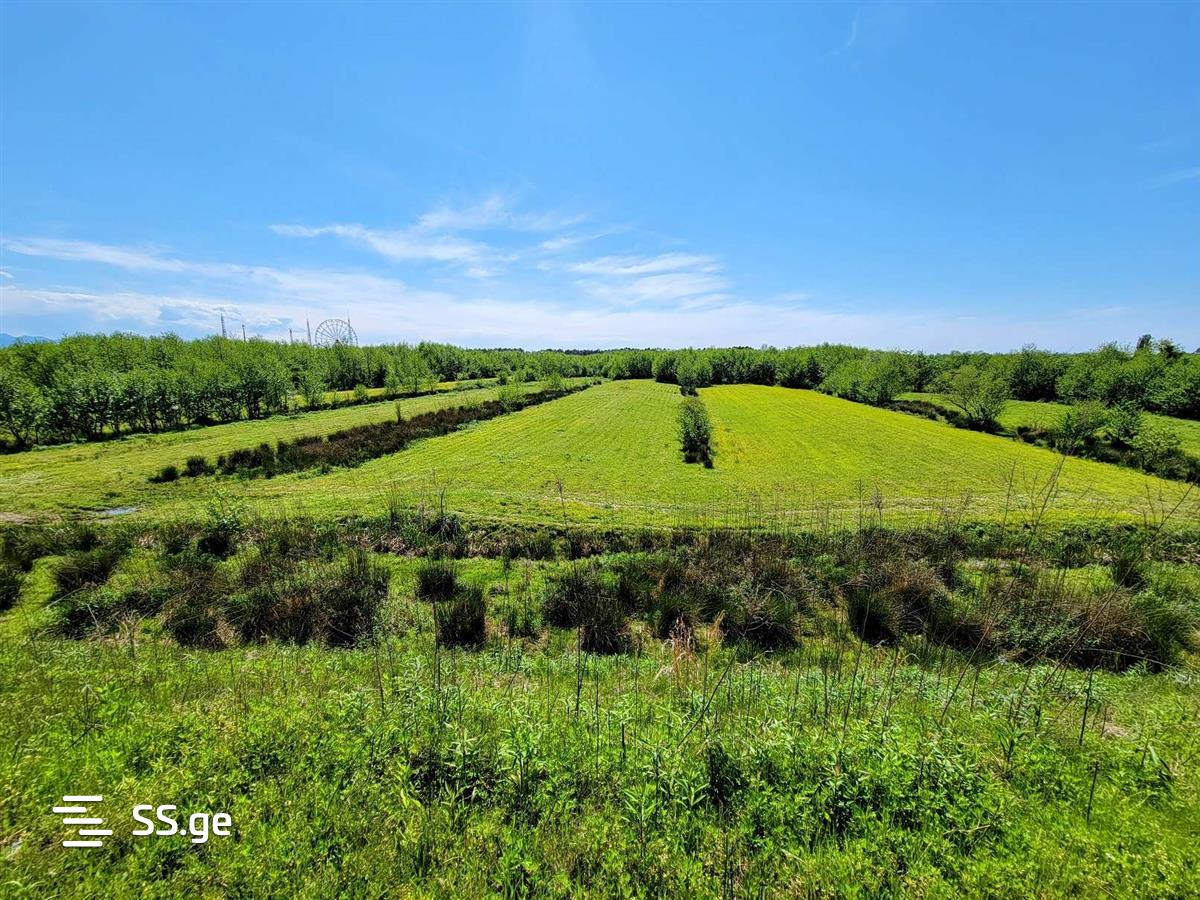 Land For Sale. Zemo Natanebi, 30000 2269754 ss.ge