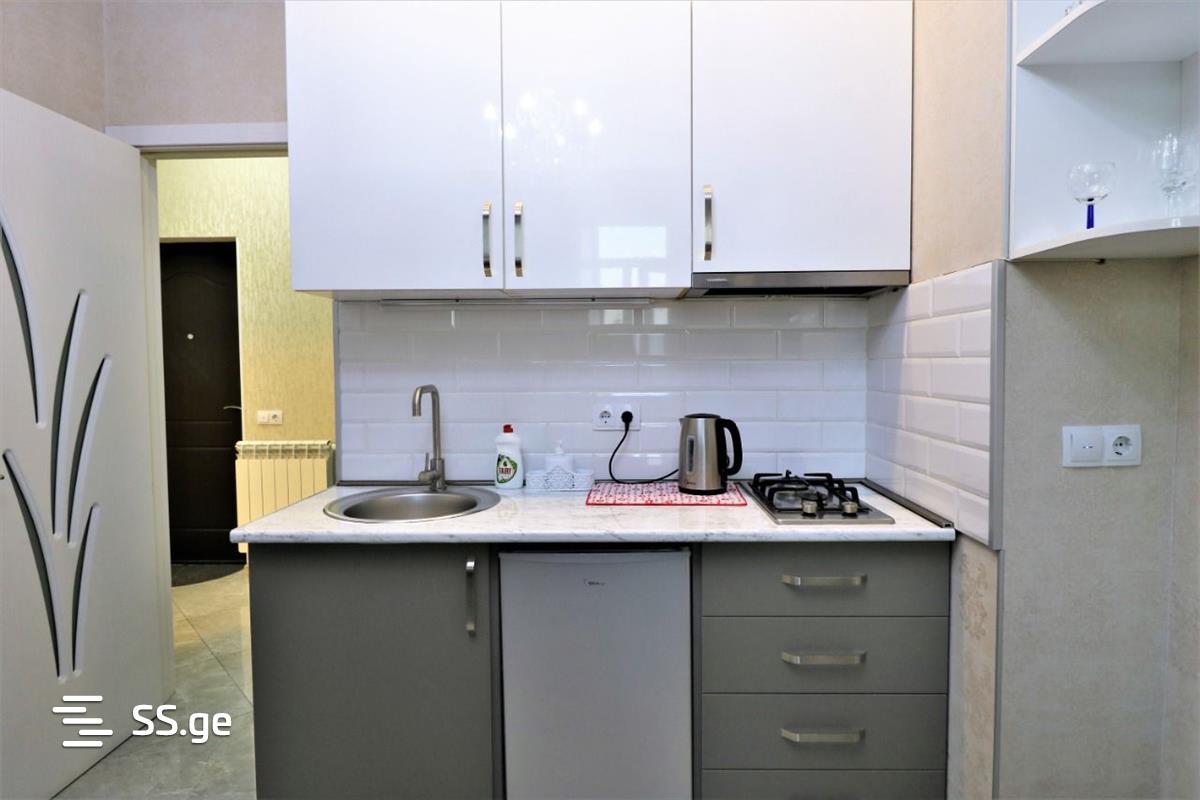 2 room Flat daily rent.  Isani - Ansicht 3