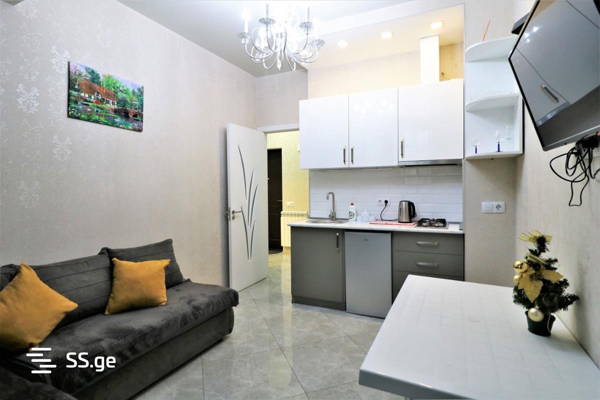 2 room Flat daily rent.  Isani - Ansicht 2
