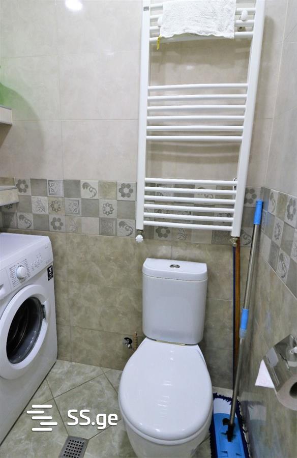 2 room Flat daily rent.  Isani - Ansicht 5