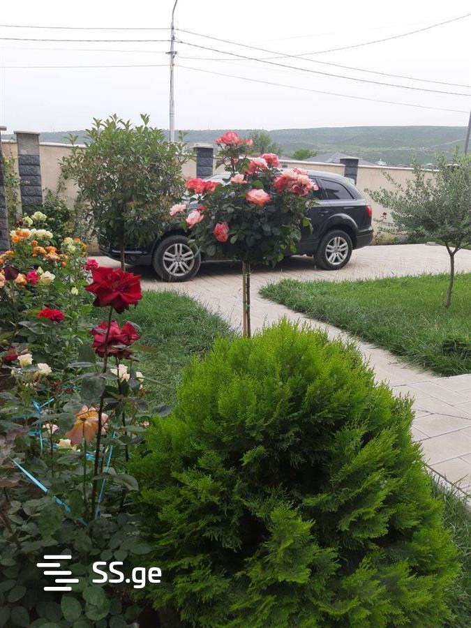 7 Room Private House For Sale view 9