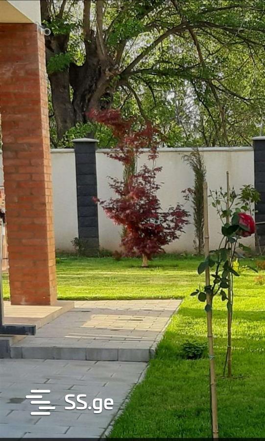 7 Room Private House For Sale view 12