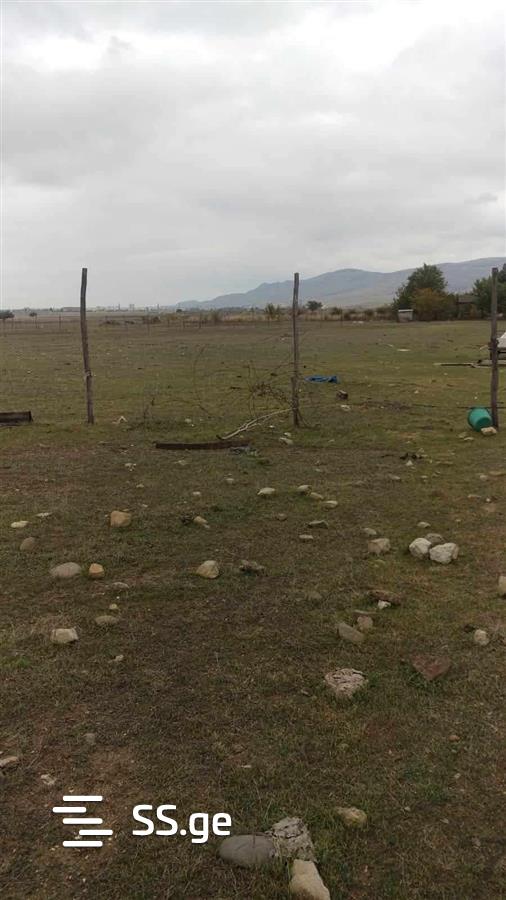 Land For Sale. Krtsanisi view 8