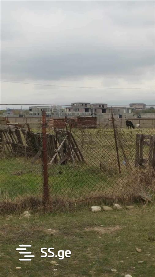 Land For Sale. Krtsanisi view 5