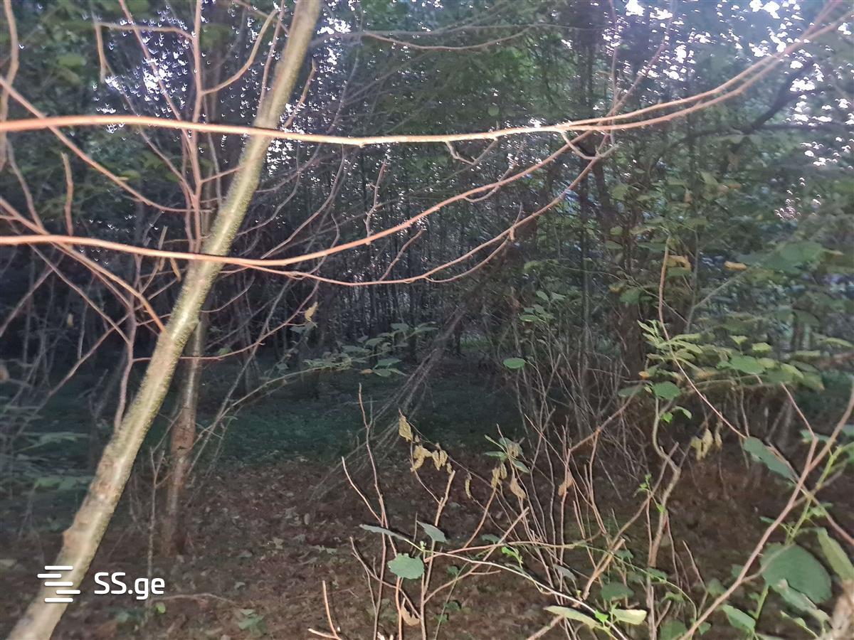 Land For Sale. Ureki view 11
