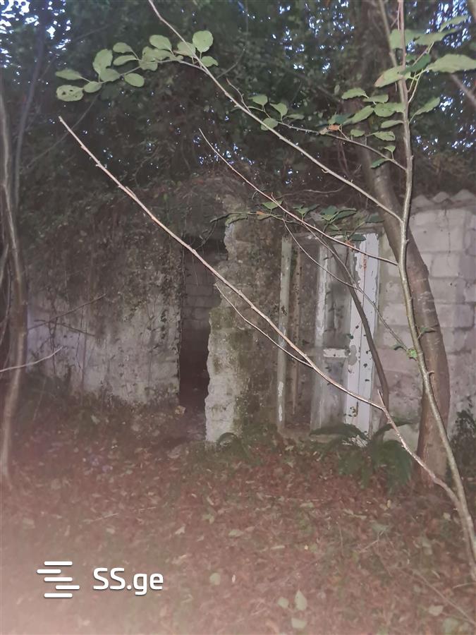Land For Sale. Ureki view 5