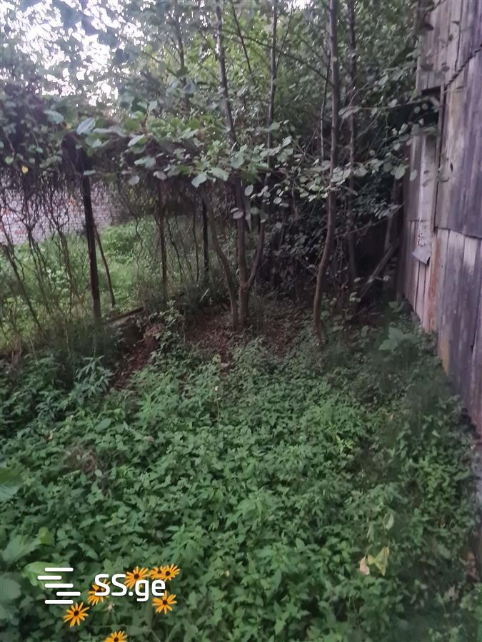 Land For Sale. Ureki view 6