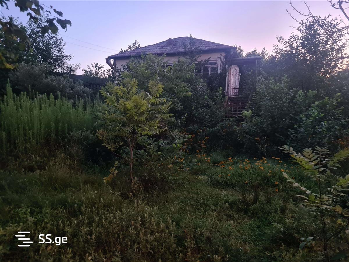 Land For Sale. Ureki view 1