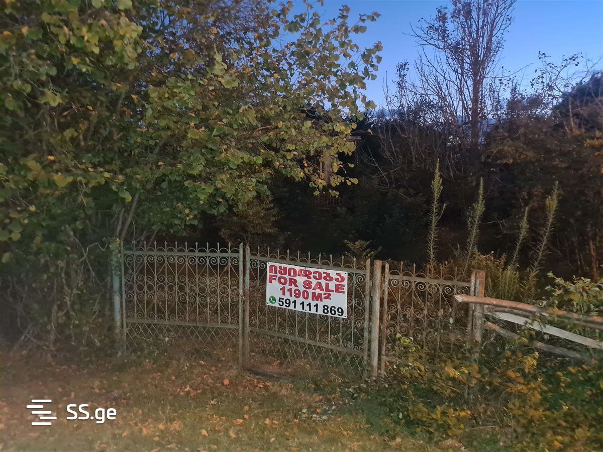 Land For Sale. Ureki view 12