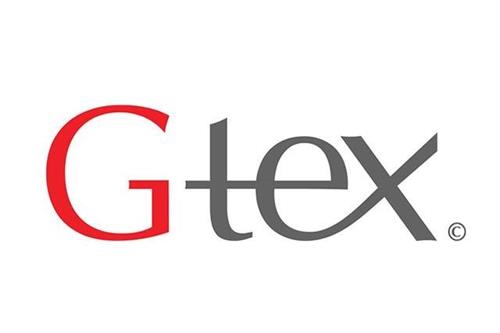 ჯითექსი — ლოგო