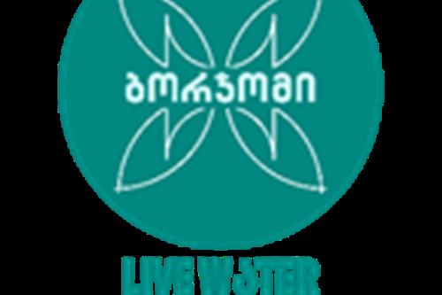 ბორჯომი ვოთერსი