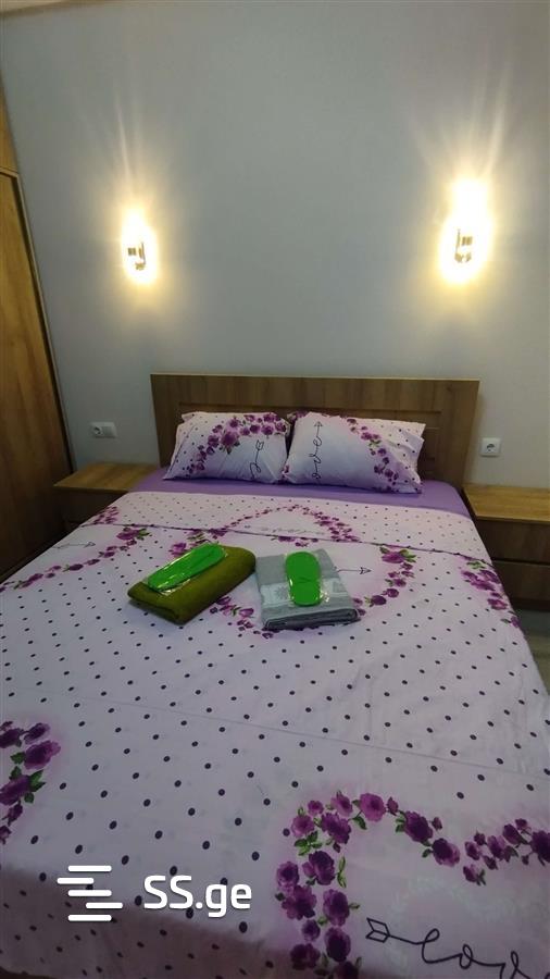 2 Room Flat Daily Rent. Didube view 7