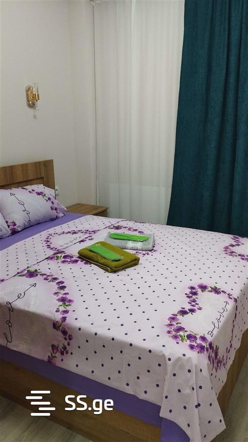 2 Room Flat Daily Rent. Didube view 11