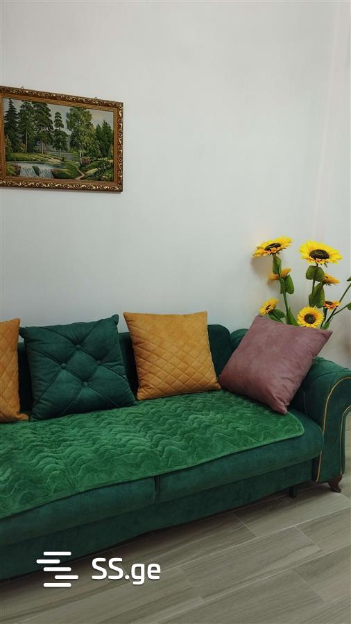 2 Room Flat Daily Rent. Didube view 5