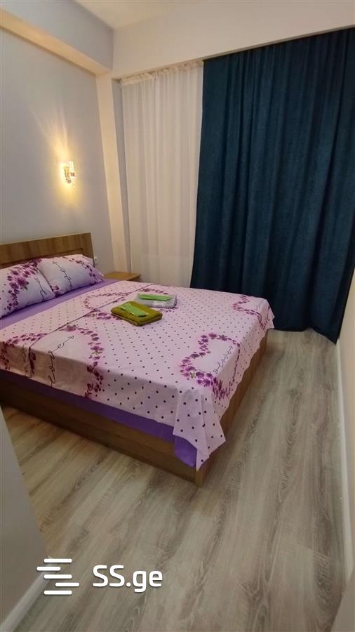 2 Room Flat Daily Rent. Didube view 3