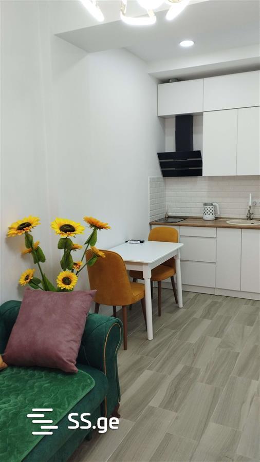 2 Room Flat Daily Rent. Didube view 6