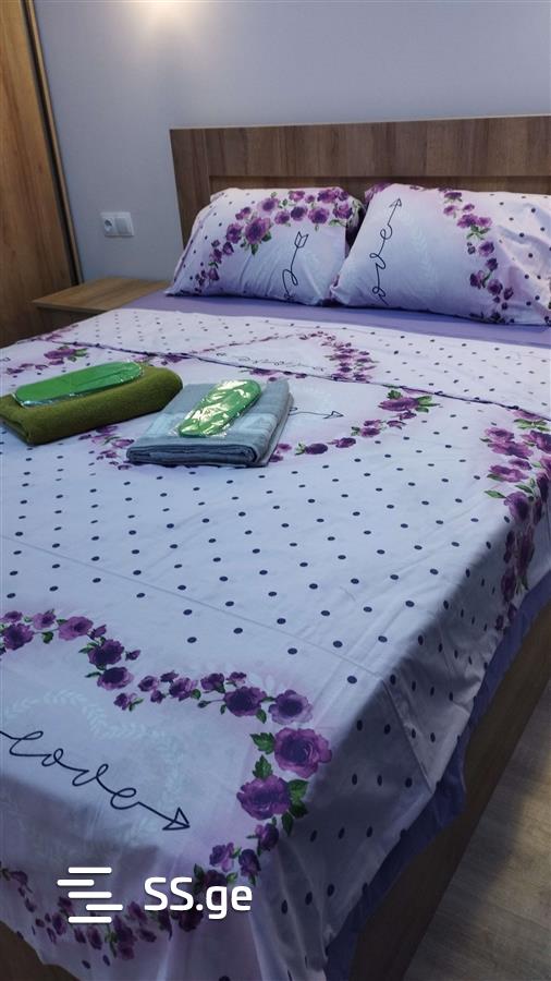2 Room Flat Daily Rent. Didube view 2